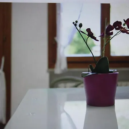 Apartamento Monolocale